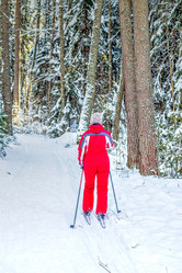 Similar image 12516564