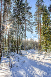 Similar image 12547793