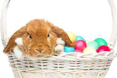 Similar image 12582297