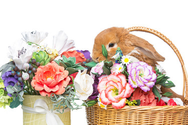 Similar image 12582307