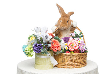 Similar image 12582309