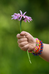 Similar image 12585380