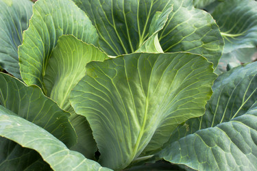 Similar image 12585405