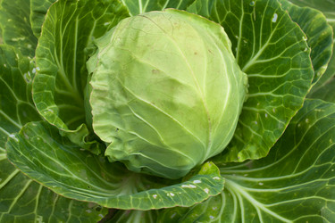 Similar image 12585406