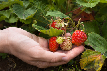 Similar image 12585470