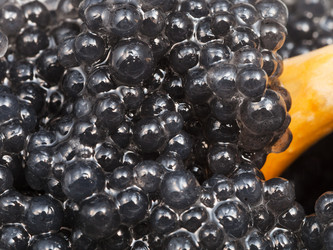 Similar image 12686668