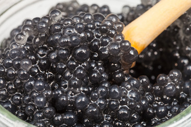 Similar image 12686921