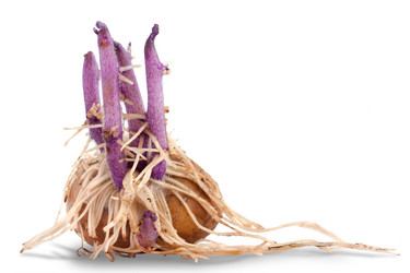 Similar image 12585344