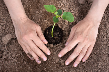 Similar image 12585346