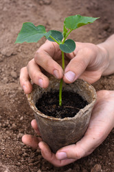 Similar image 12585349