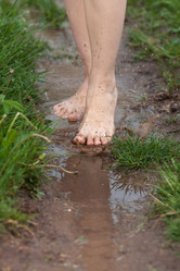 Similar image 12585350