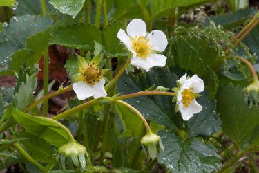 Similar image 12585383