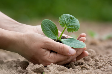 Similar image 12585386