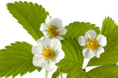 Similar image 12585389