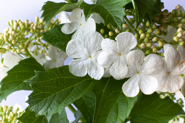 Similar image 12585390