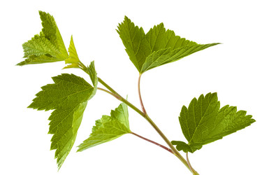 Similar image 12585408