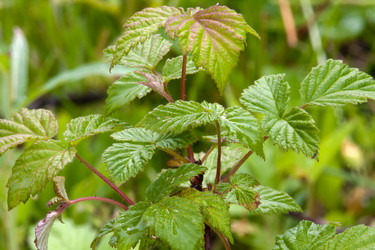 Similar image 12585409