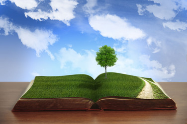 Similar image 12466916