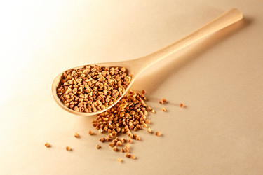 Similar image 12580536