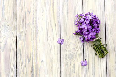 Similar image 12455542