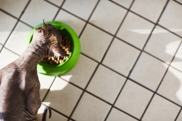 Similar image 12486927