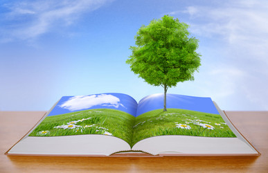 Similar image 12485225