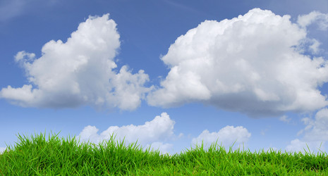 Similar image 12485226