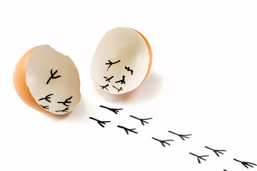 Similar image 12581089