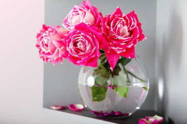 Similar image 12583441