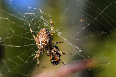 Similar image 12489943