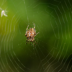 Similar image 12489944