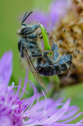 Similar image 12489951