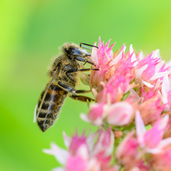 Similar image 12489952