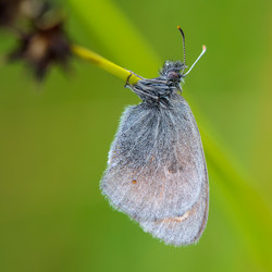 Similar image 12489953