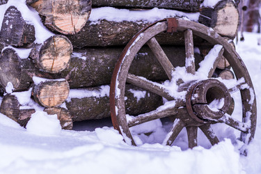 Similar image 12455350