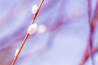 Similar image 12455366