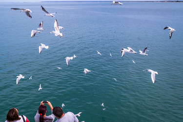 Similar image 12455373