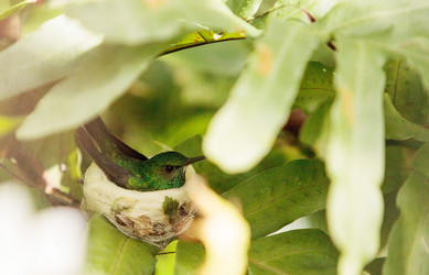 Similar image 12596732