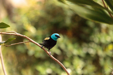 Similar image 12596733