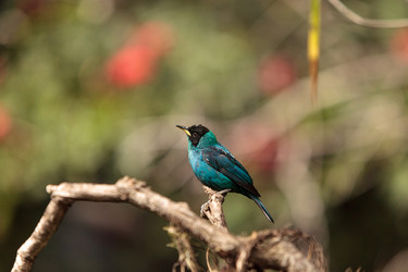 Similar image 12596743