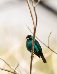 Similar image 12596745