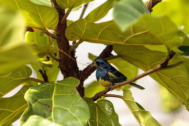 Similar image 12596764