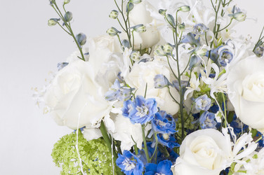 Similar image 12597622