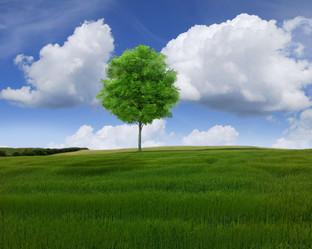 Similar image 12485227