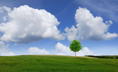 Similar image 12485228