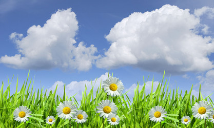 Similar image 12485229