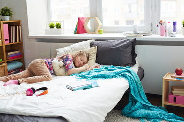 Similar image 12487464