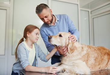 Similar image 12487586