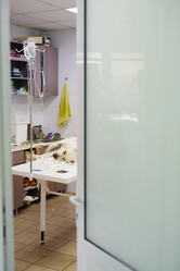 Similar image 12487609