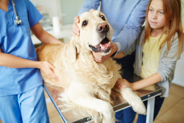 Similar image 12487628